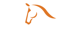 IDA Logo
