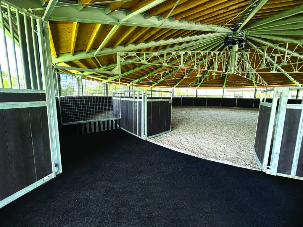 Equine Walker For Sale