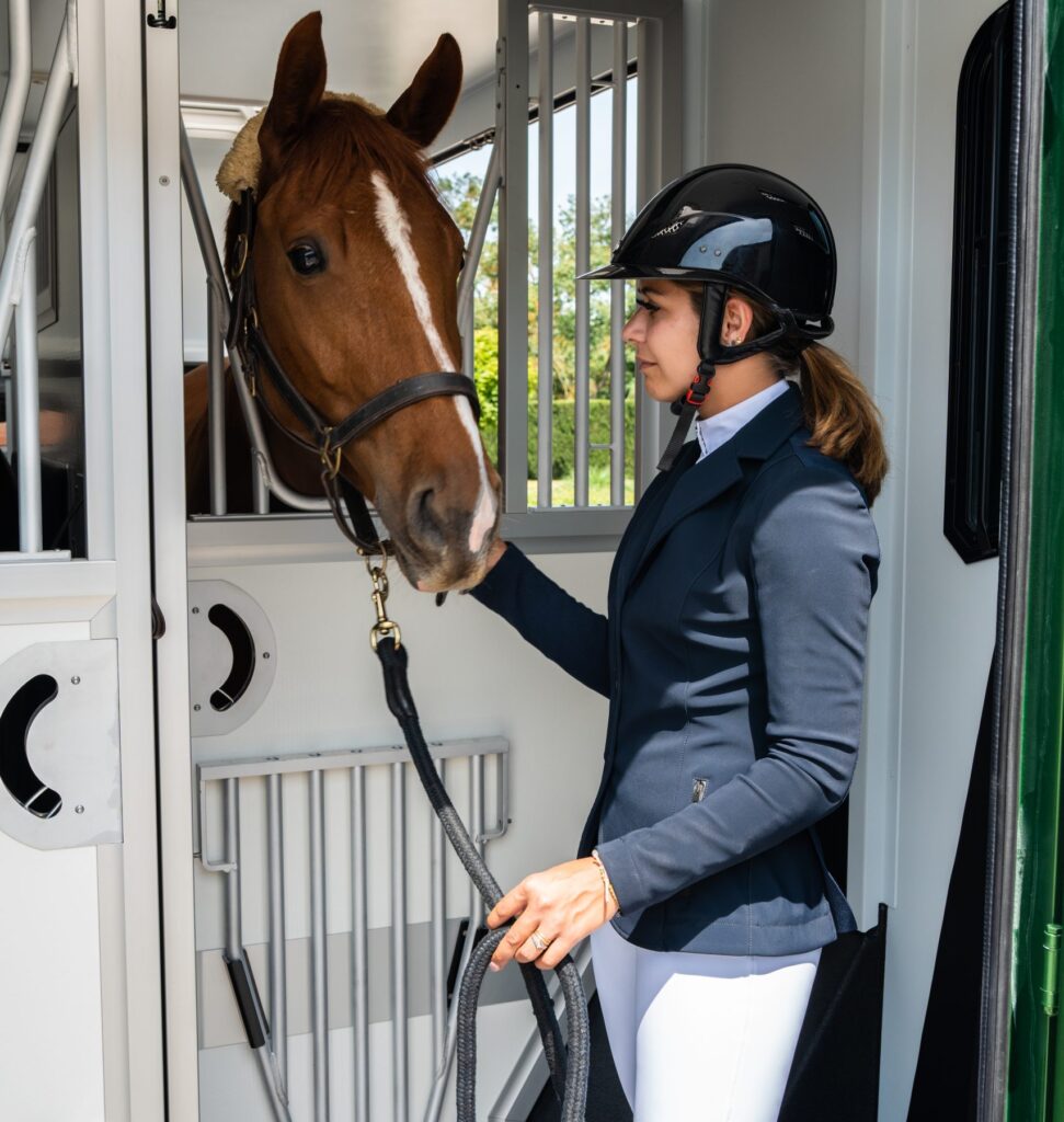 Theault Horse Van For Sale