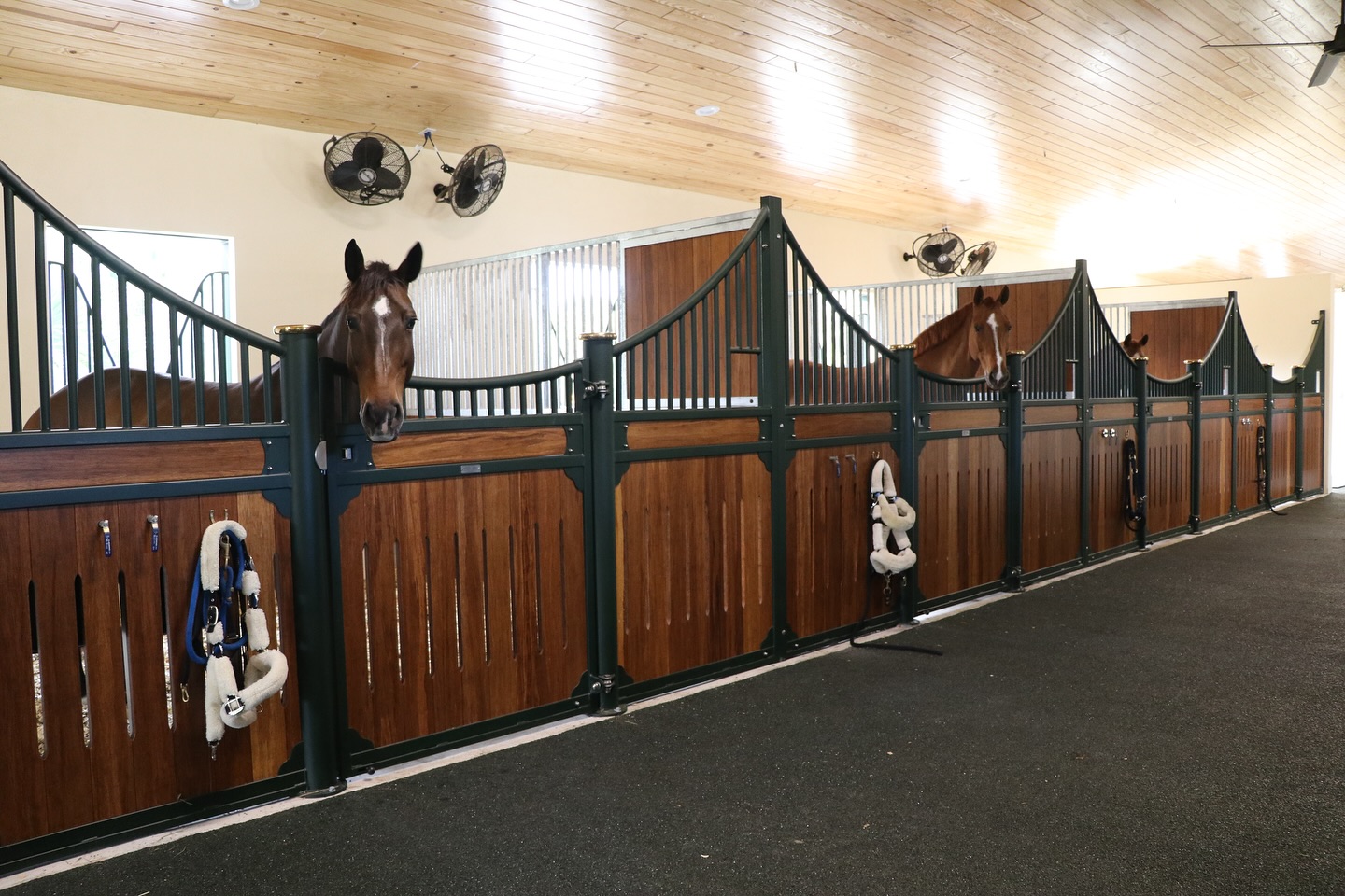 Classic Wave Horse Stall Systems
